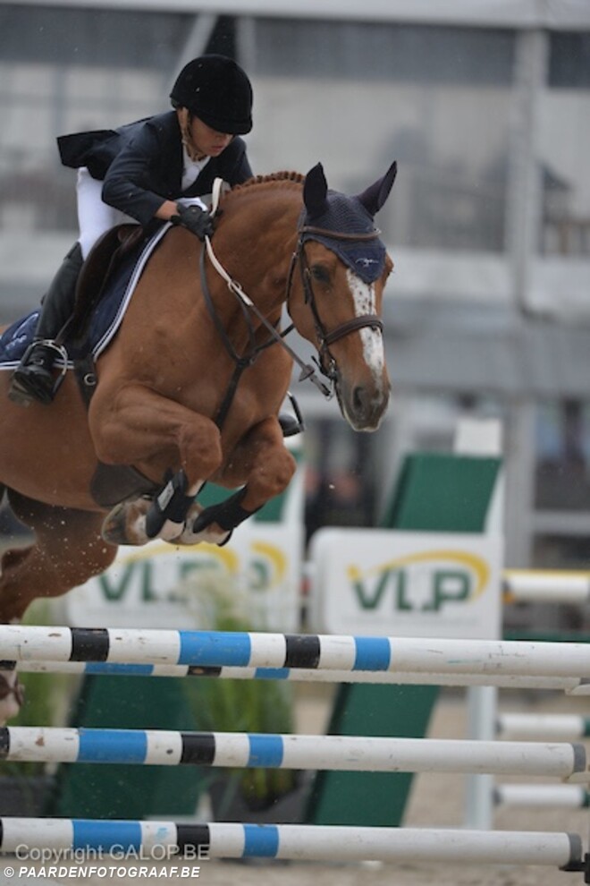 CSIO-Ch Wierden: Straffe resultaten volgen