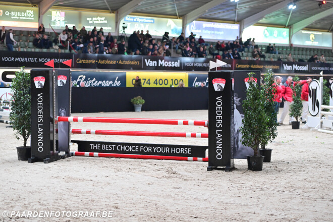 Bijna 200 hengsten maken zich klaar voor de eerste manche van de Lannoo Belgian Stallion Competition Powered by Eurohorse