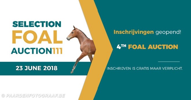 Inschrijvingen Foal Auction 111 geopend!