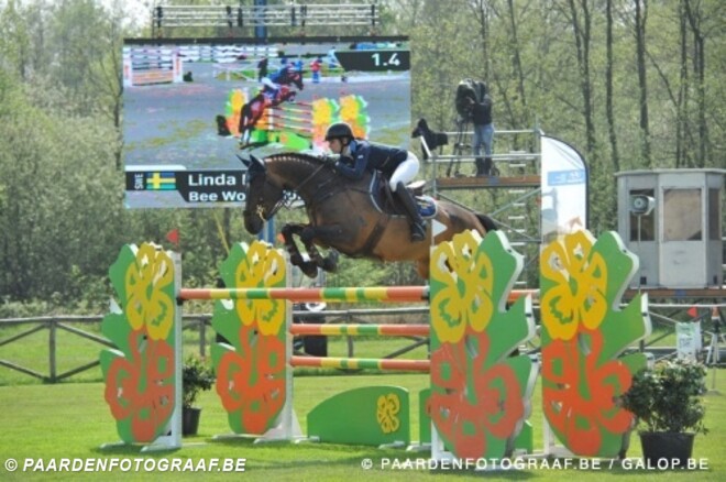 Nieuw GP-paard voor Cassandra Braeckmans