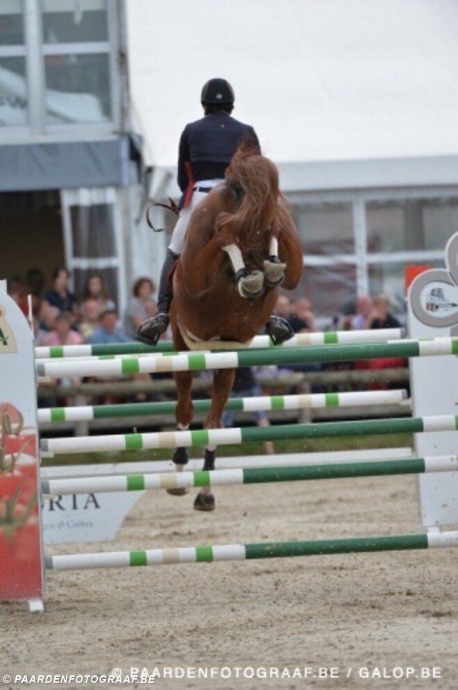 Emerald-zoon Igor tweede in finale VIlamoura