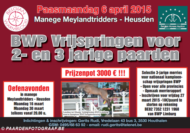 BWP vrijspringen voor 2- en 3-jarige paarden