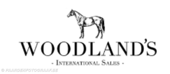 Woodland’s paarden wervelen door de voorjaar