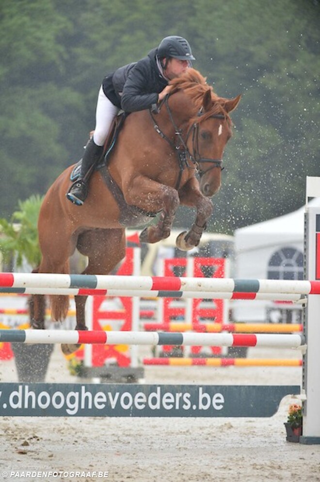 WK 5j: 73 combinaties houden het foutloos