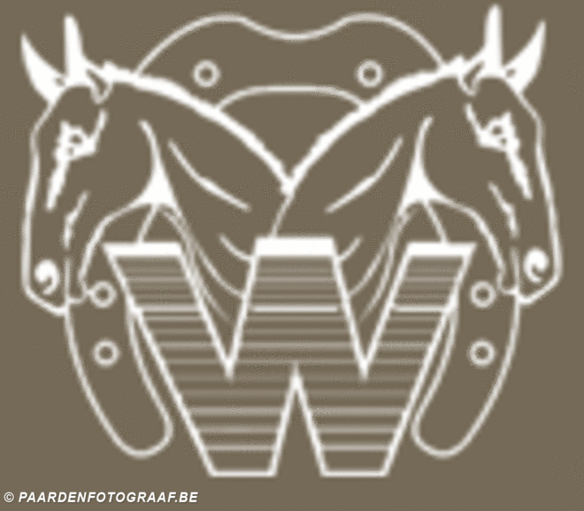 Manege Woutershof trainingsjumping