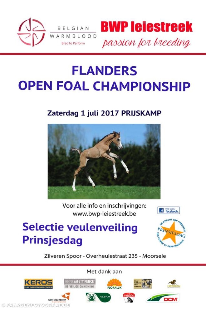 Flanders Open Foal Championship