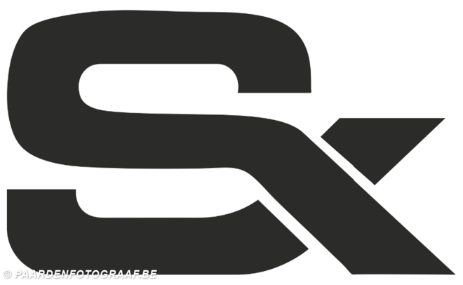 Stephex Team is hiring!