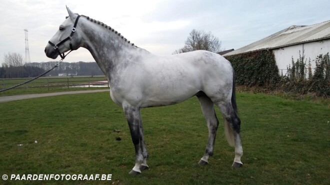 Bonheiden: Meirsschaert en Cascor Z 3e in GP