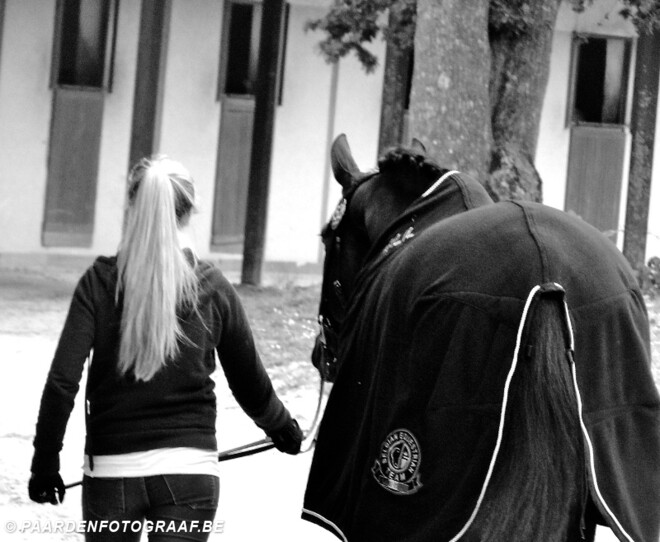 Alexa Fairchild koopt GP-paard