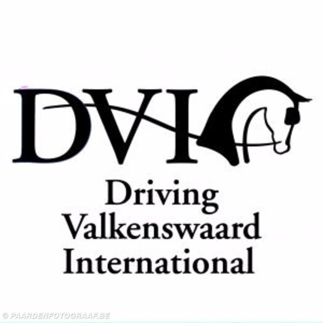 Valkenswaard, Live Stream marathon en vaardigheid