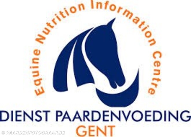 Dienst paardenvoeding op Flanders Horse Expo
