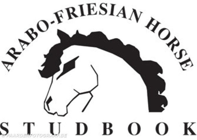 Arabo-Friese hengstenkeuring - 28 maart