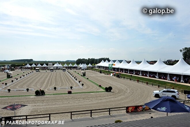 Flanders dressage event 2015