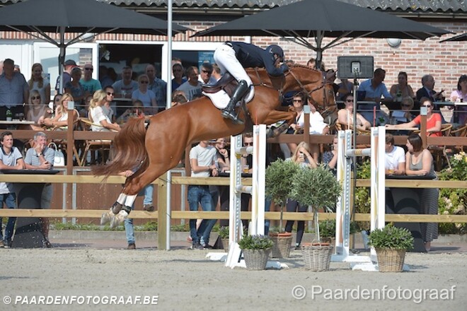 CSI2* Valkenswaard: Verlooy & Wathelet top 5