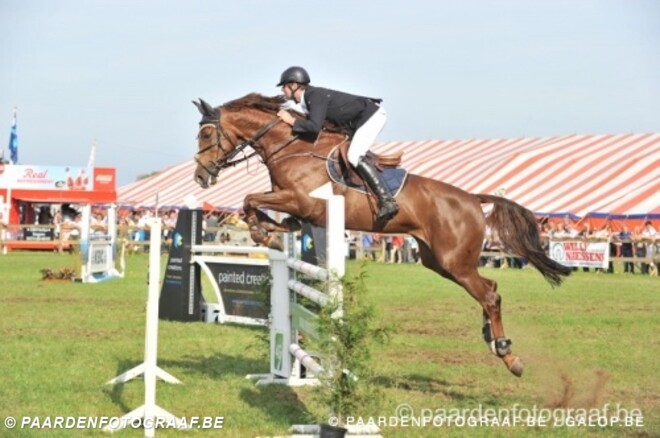 Paarden Gestelhof in vorm op 2de manche 135