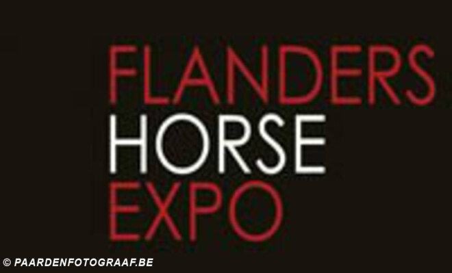 Superfinale Willy Naessens tijdens Flanders Horse Expo