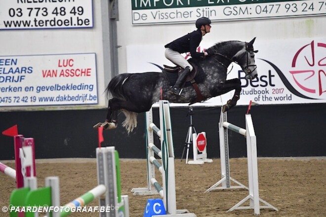 CSIYH Lier:Wereldkampioen voor Belgische top