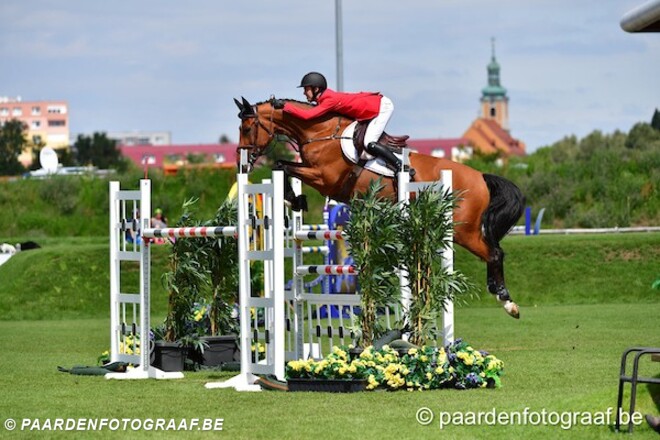 CSI2* Lier: Thomas winst 1ste kwalificatie!