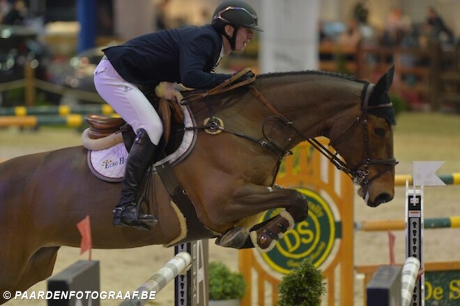 Euro Horse verkoopt Calvaro-merrie Tendresse