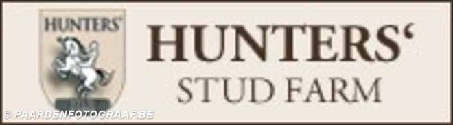 Hunters Studfarm zoekt groom/ruiter