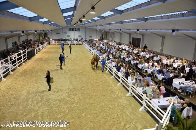 Auction Twinkeling volledig online met ...