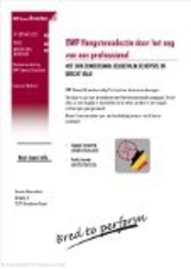BWP Hengstenselectie door professionals