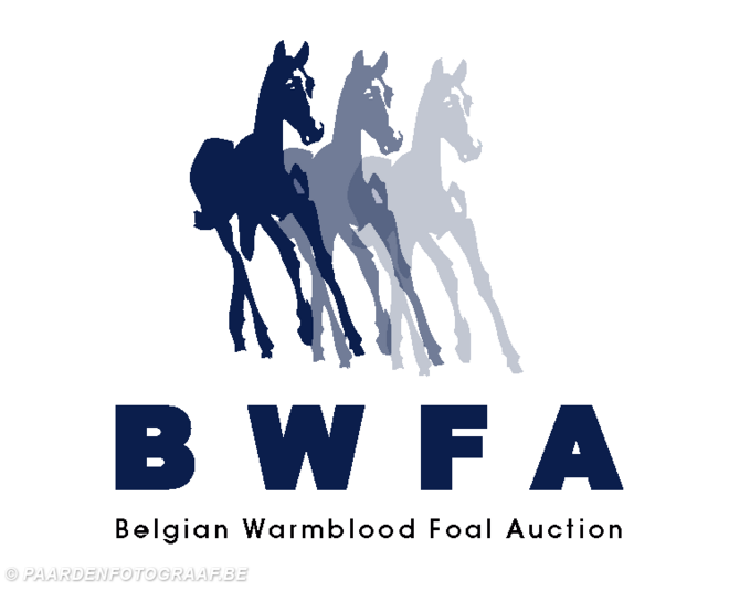 Inschrijven voor selecties eliteveiling BWFA