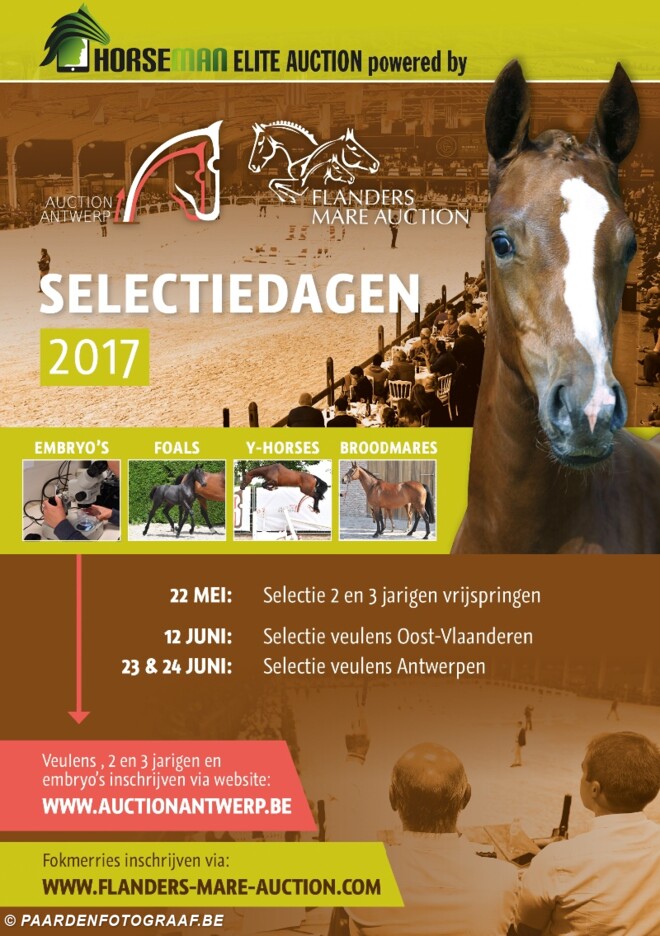 Auction Antwerp to the next level