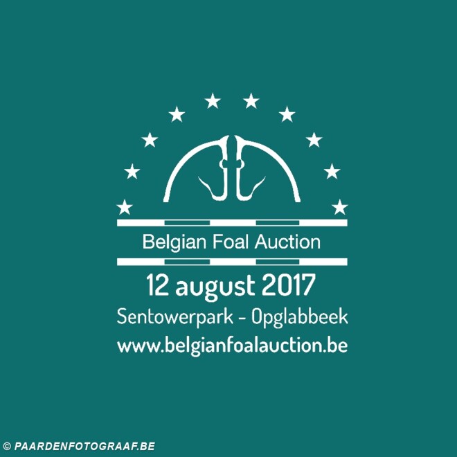 20ste Belgian Foal Auction wordt top-editie!
