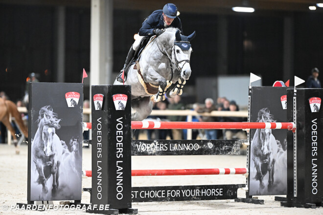 Uitkijken naar Lannoo Belgian Stallion Competition powered by Eurohorse