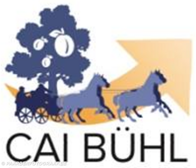 Dossier CAI Bühl – 8-11/06/2023