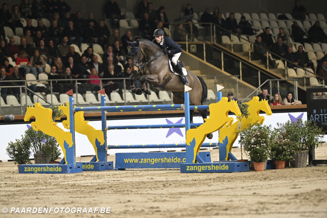 Jan Vermeiren wint opnieuw in de STX Cyclus voor 7-jarige paarden
