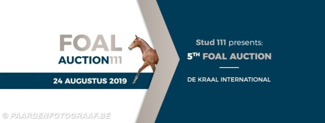 Waarom inschrijven bij Foal Auction 111?