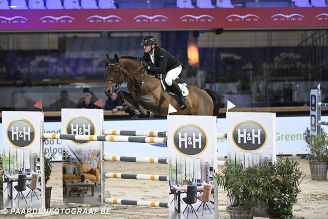 Koen Vereecke is Belgische sterkhouder in de CSIO5* GP van Rome