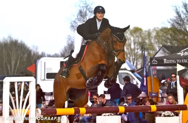 Nieuwe bestemming voor beloftevolle paarden