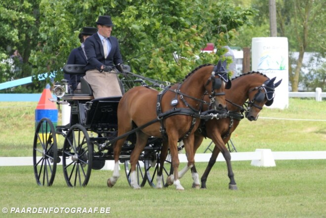 Schitterende start van CAI2* Bornem