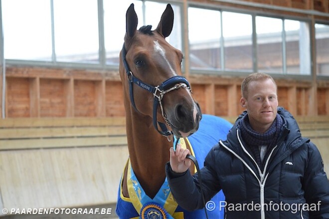 CSI2* Opglabbeek: Bruynseels wint 1m40