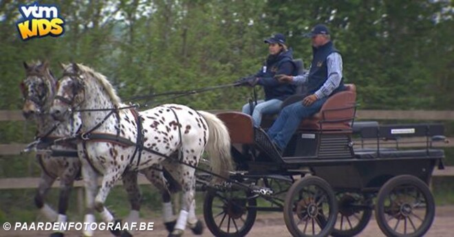 Mensport in de kijker