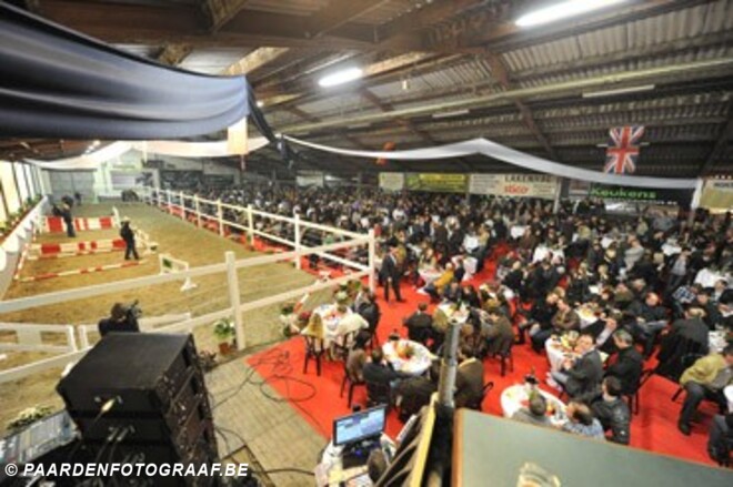 1ste veiling van 2015: Horse Auction Belgium