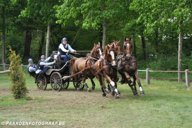 Samenwerking Voeders Lannoo – Glenn Geerts