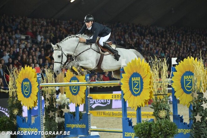 CSI3* Moorsele: Britten domineren!