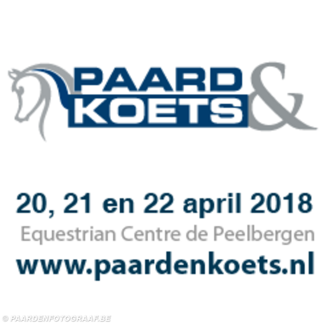 Paard & Koets, win een Ideal tuig!