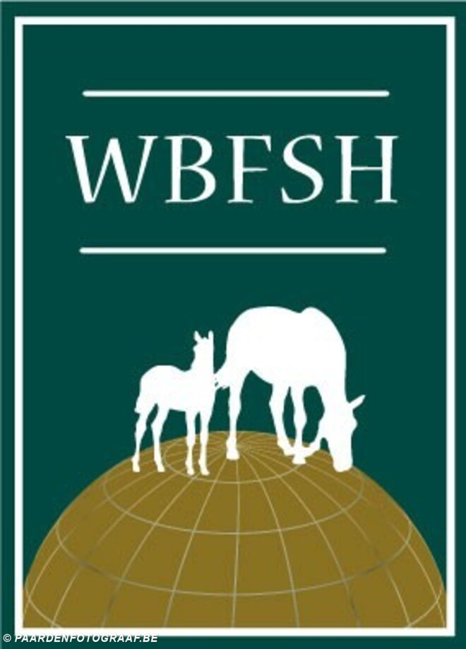 Zangersheide op 1 in WBFSH ranking