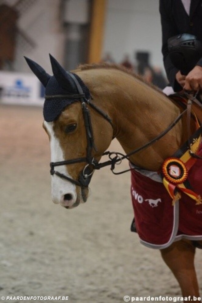 Morgen debuteren Harrie Smolders & Hercules