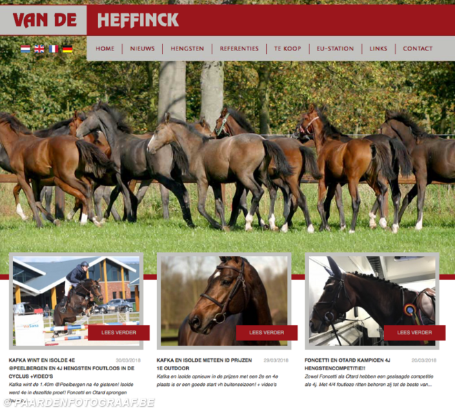 Hengsten Van de Heffinck in de kijker!