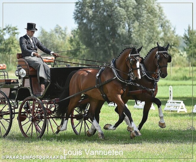 ‘Controle over tempo en houding’, clinic van Jan Vanden Berghe tijdens P&K