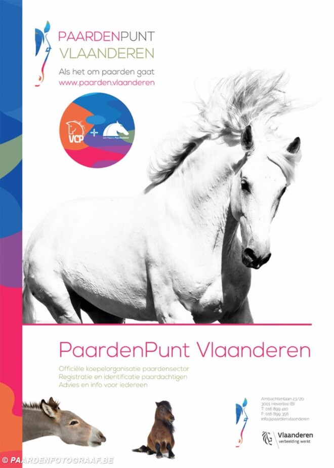 Nieuwe koepelorganisatie