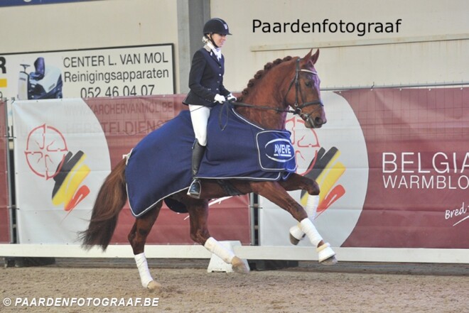 Presentatiedag Dressuur: Juwel Krack wint