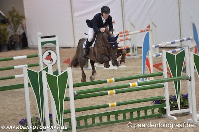 Z Auction: € 40.500 voor embryo-topper