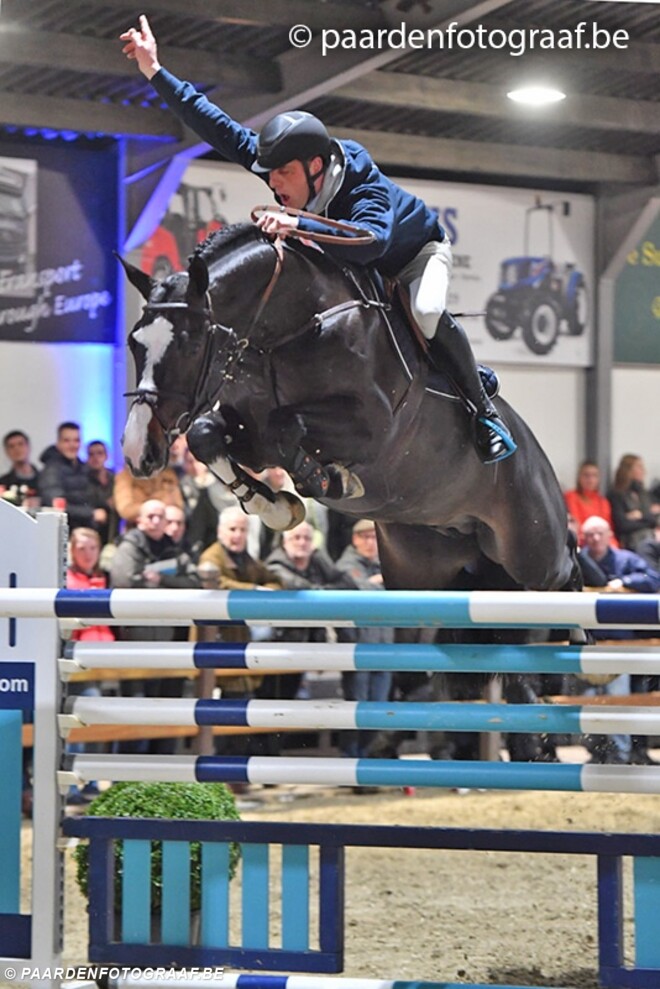 Hengstenshow JV-Horses